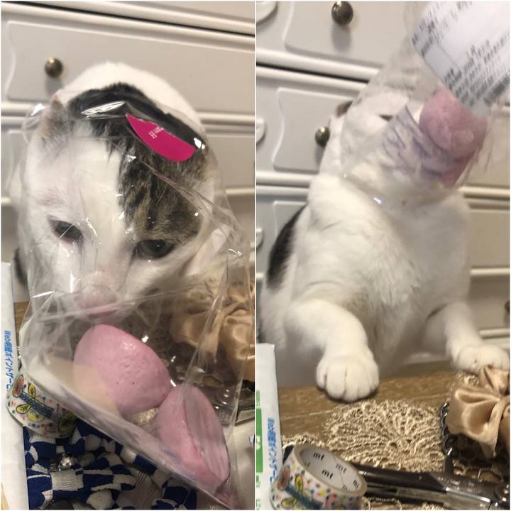 04ff0da9 1673 4f9a 97bd 1e9771065ad1 1586087478890