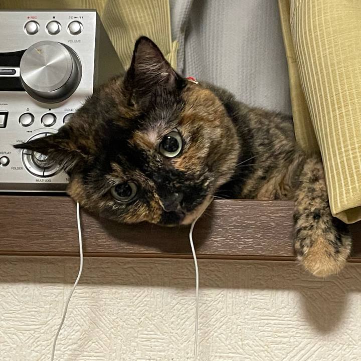 04ff1bf1 68b6 44f5 be2e 20e618b1dea4 1661956547439