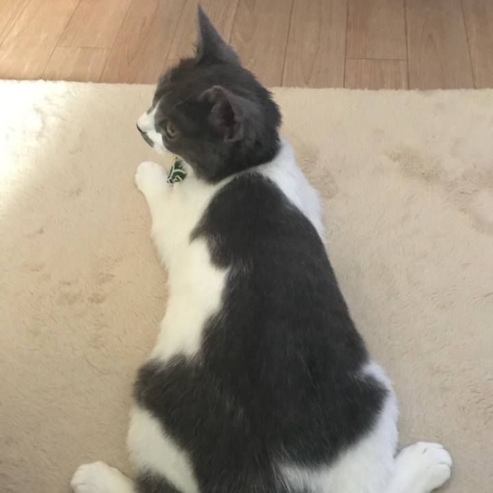 04ff23a3 e624 4d2e bb91 c6511a55b671 1679221123785