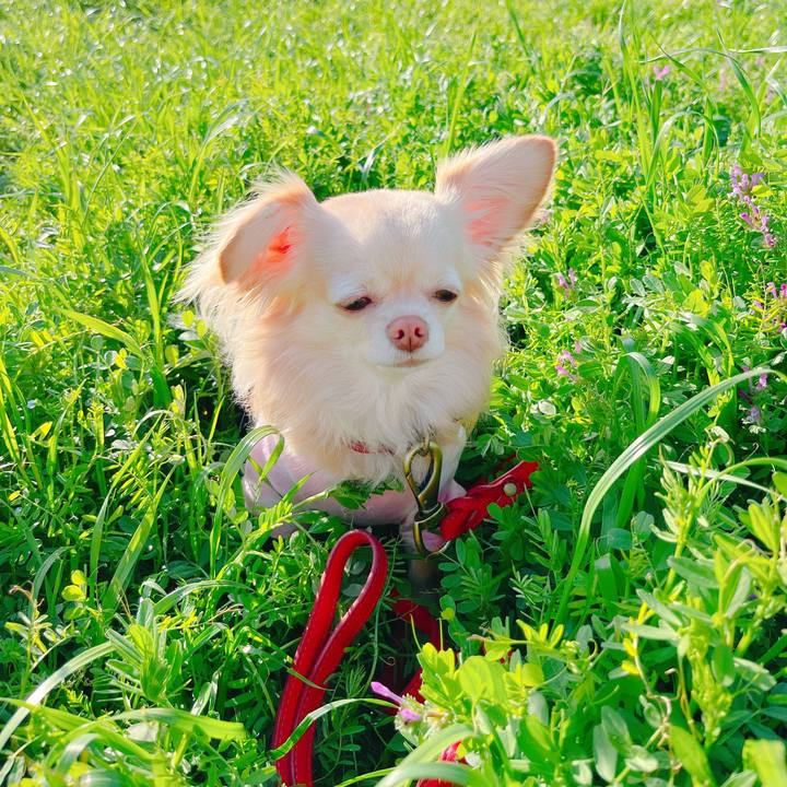 04ff2e57 7eab 4e2d 9d79 f9147ebcd1ed 1649162670684