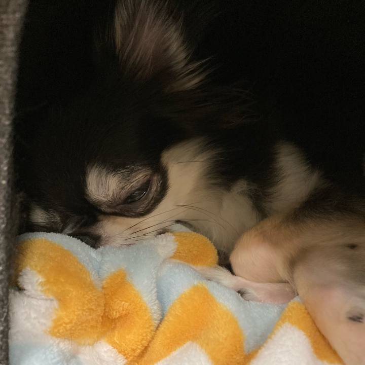 04ff4ac0 341b 4e2d 91cd e43028ef9007 1634477489895