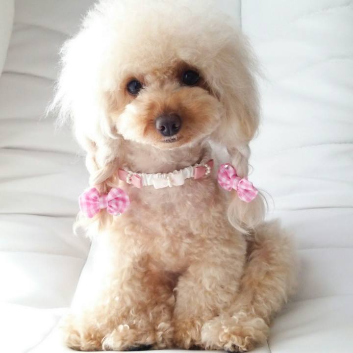 04ff6979 5865 4177 b188 ec4d65e2af08 1514800103691