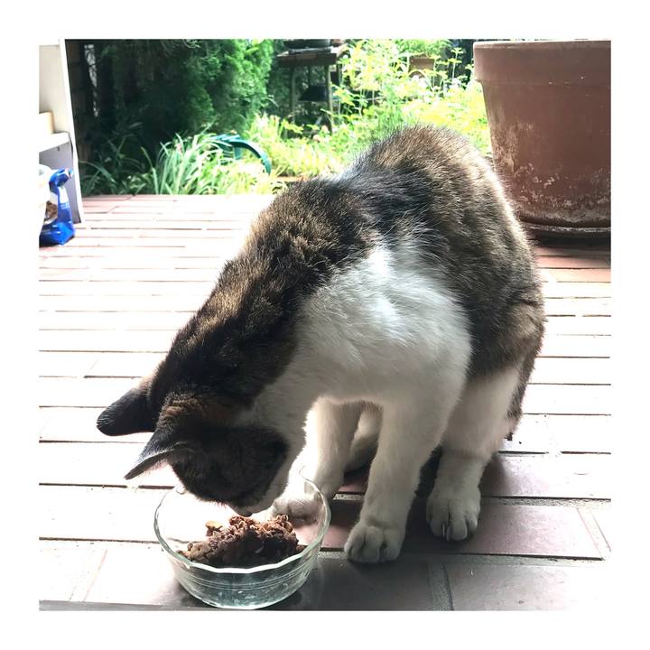 04ffc695 52bc 4571 8949 d45a11d33c99 1657246544518