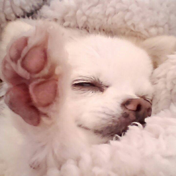 04ffd00f 804f 43bb 8bbd 7faf01857dc3 1514344882102