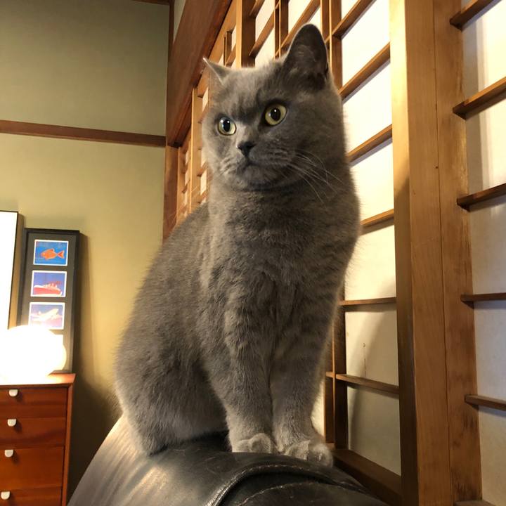 04fff32b 62a3 4122 a625 0bc194eb0c03 1615377661056