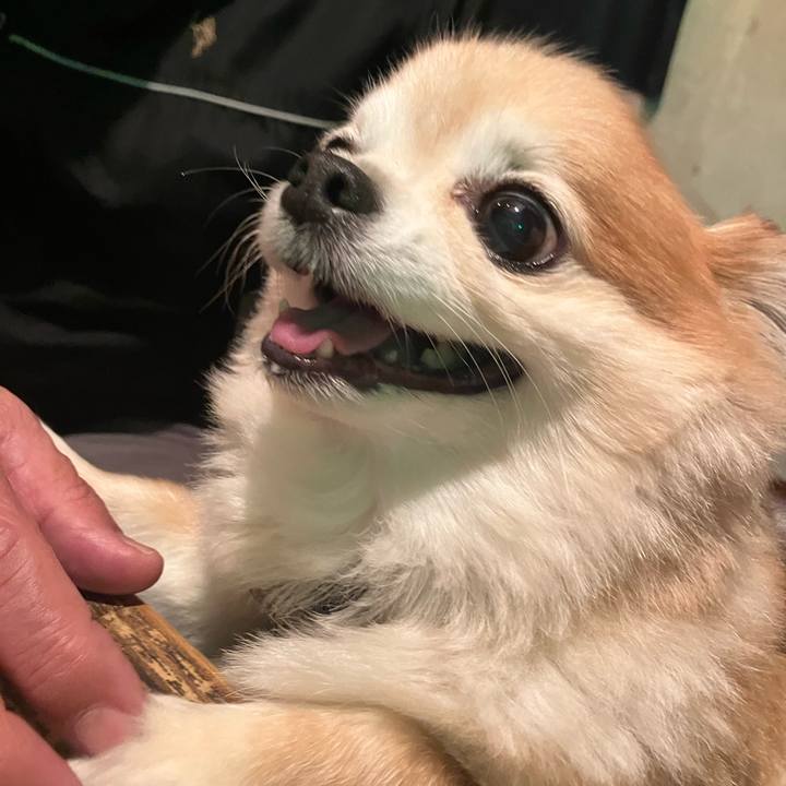 04fffbd4 4061 4f4f bf5d 8f8b6bcf21be 1762095139035