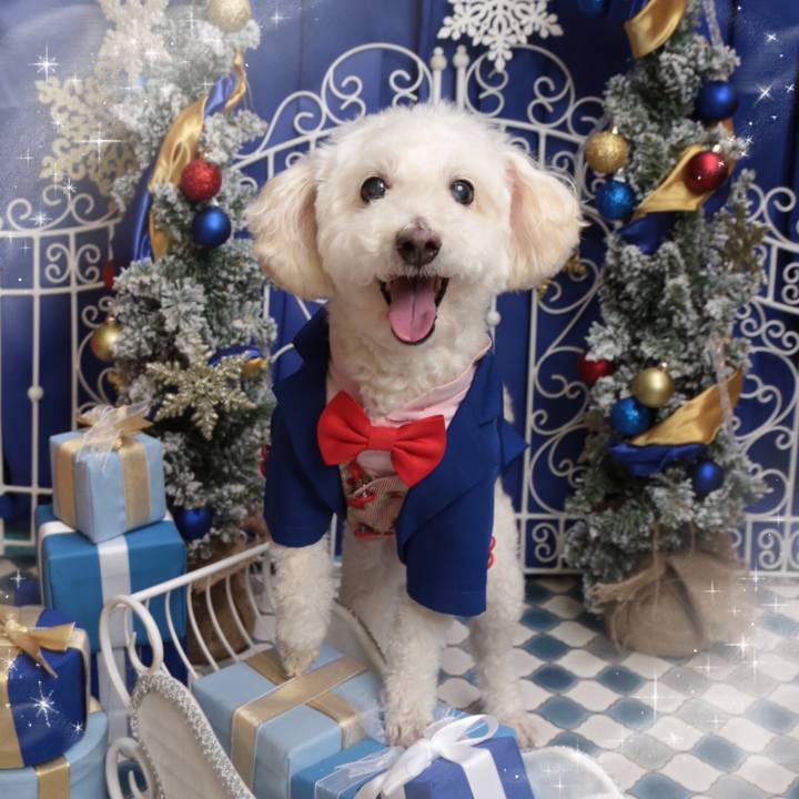 050013df 9559 4a2e a2fb ce0daf503d15 1639906689272