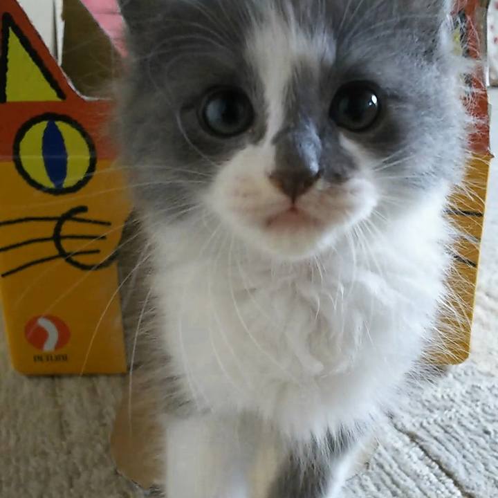 050016a1 0f46 4053 ae11 dc537f2fd89c 1560388356610