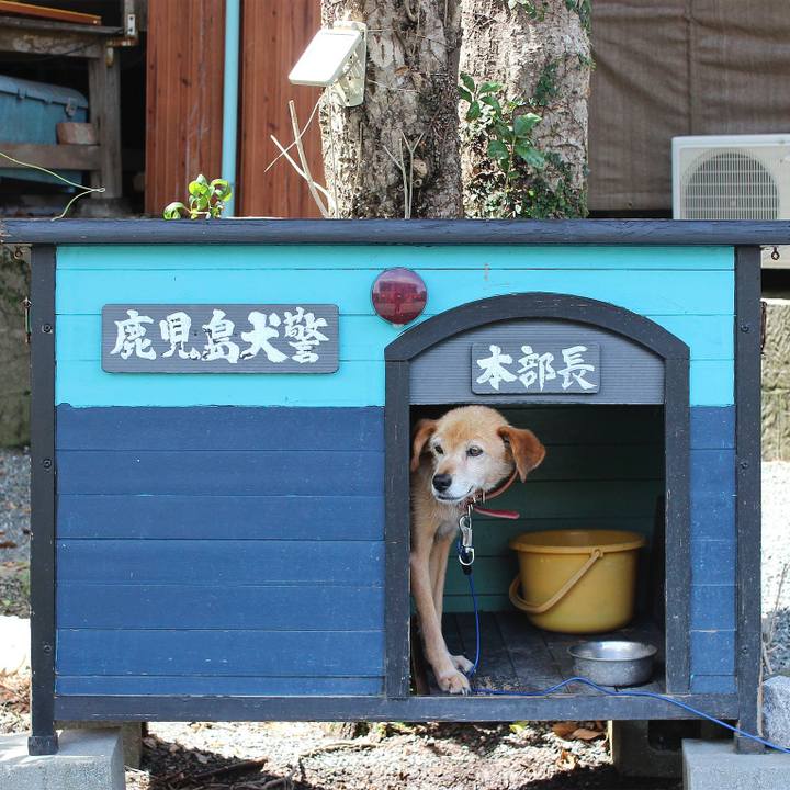 0500575f 7957 4b47 89aa 4b1a19e4f27d 1509851213983