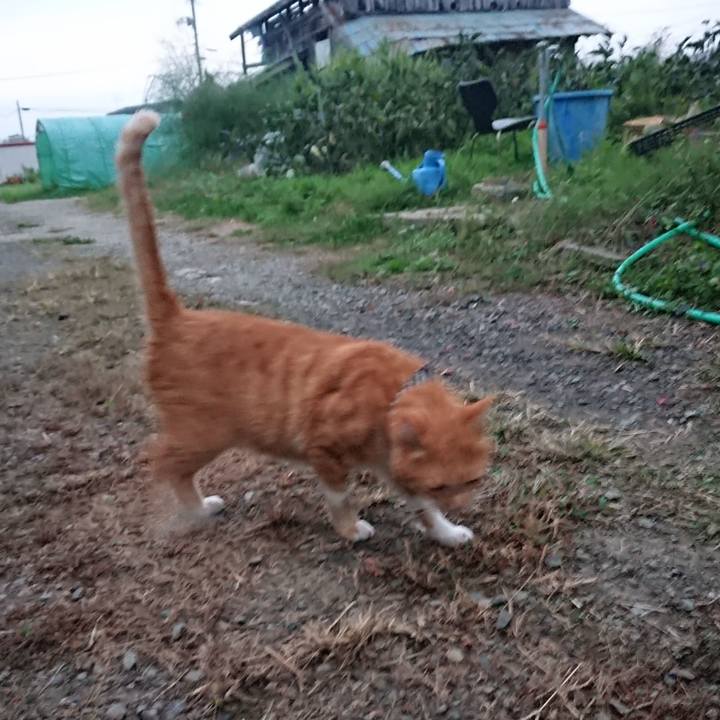 05006305 7c3d 40a0 a702 e6c6d39632bb 1570093204359