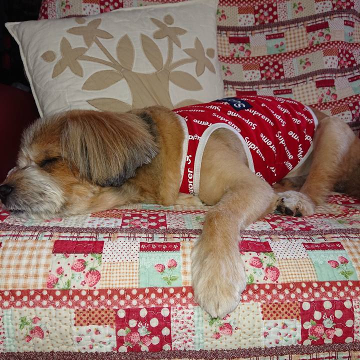 0500af02 4ad1 416d bba3 e88bf4baaeb1 1604287777653