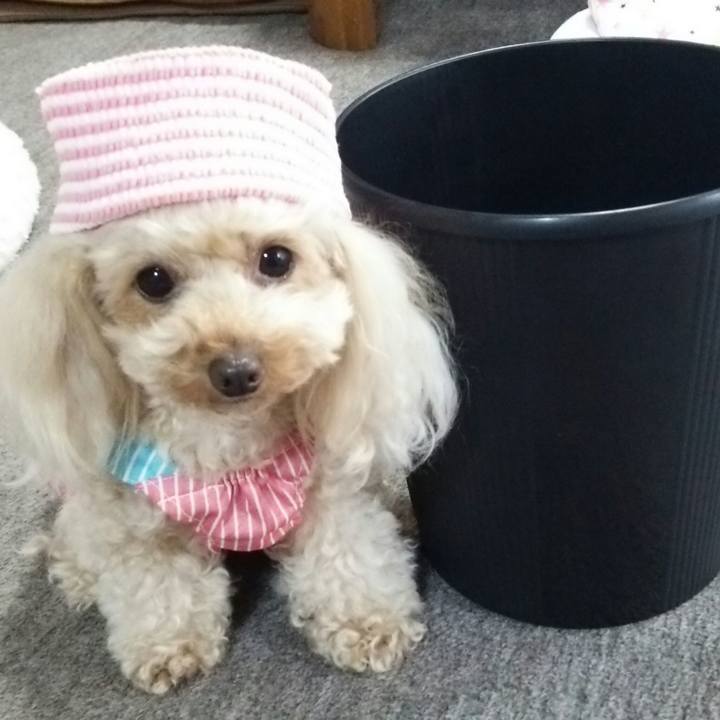 0500c2f7 2de1 4530 ace6 d8307a0e2760 1527767955174