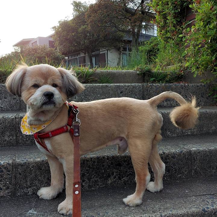 050118cc 147f 4a76 a263 9cb949ae92df 1620471513803