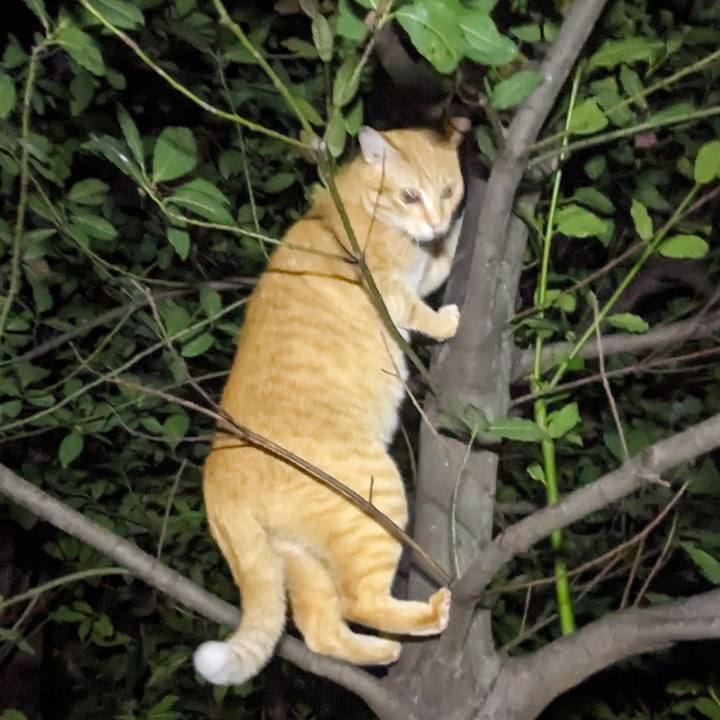 05011cd8 e25a 4e1c 8603 b51015bb97e2 1761882666467