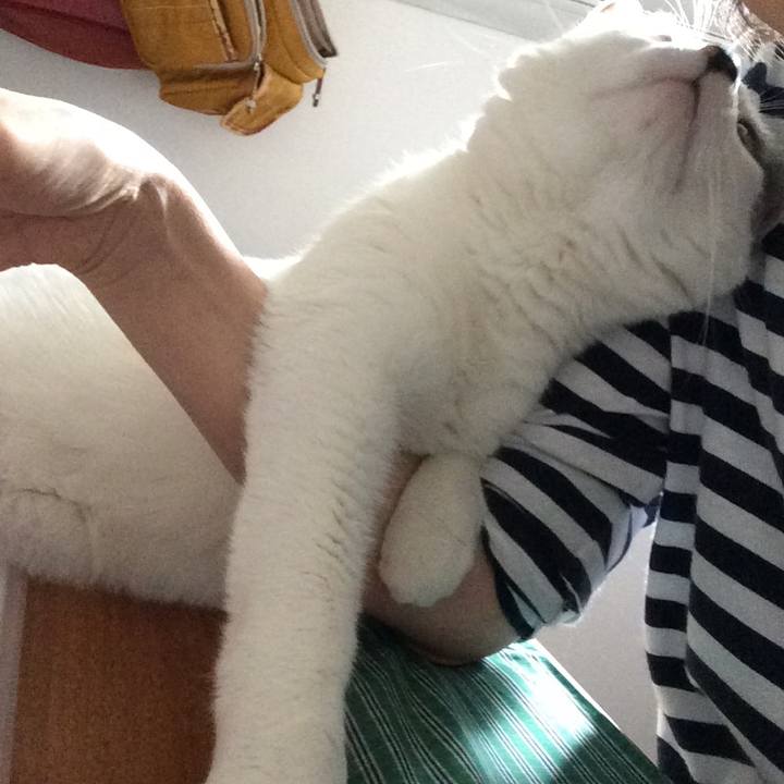 050124a5 09a5 4408 8762 9791e141d76a 1509823413583