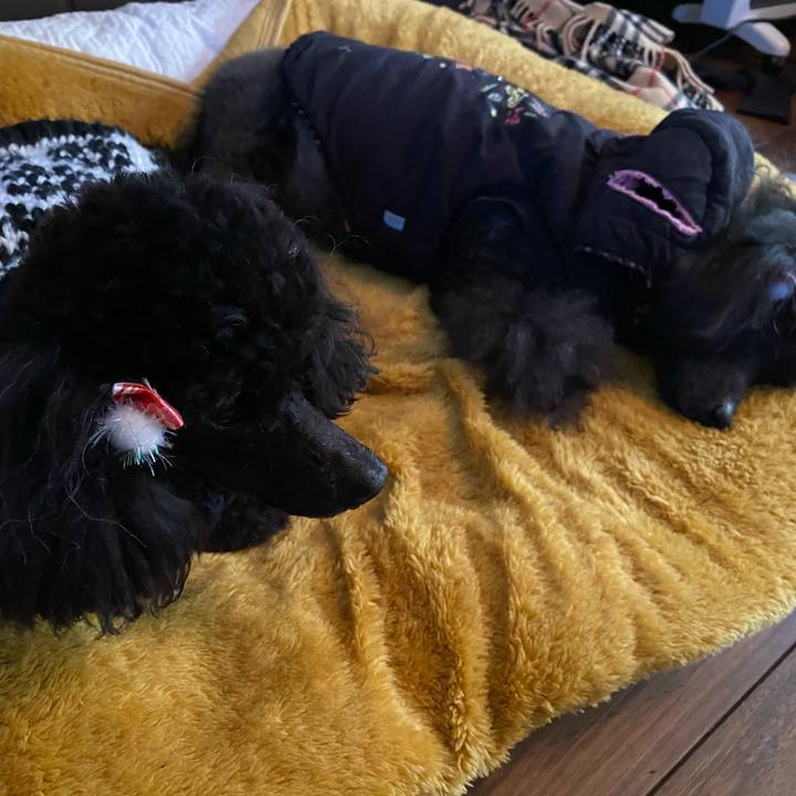 05015283 b032 489a b81c 3a27d9fe0127 1616567248251