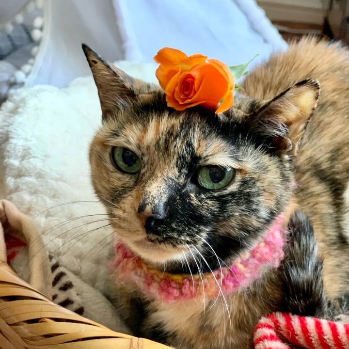 050152db 8792 4c34 ab7f 99cda1fc6438 1613926874620