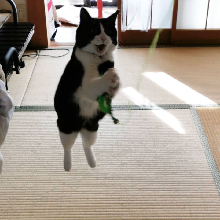 05019270 1ef5 41a1 929d b89289cdaf3b 1637458158955