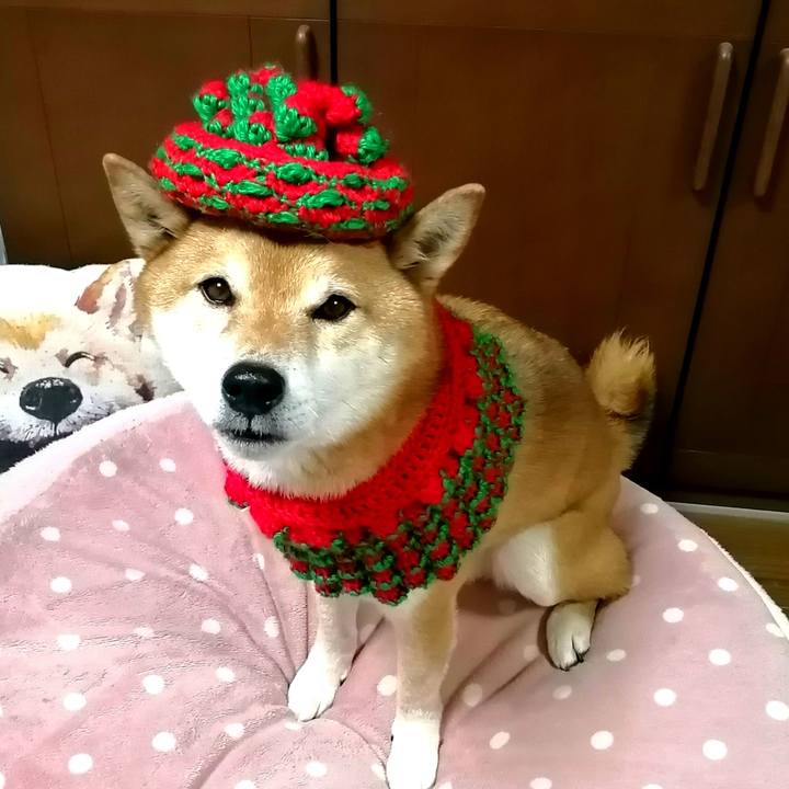 0501afad 4221 4a7d 995d 37c2b6b9f2aa 1644760116250