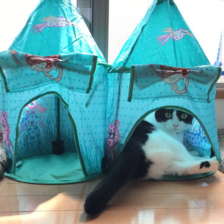 0501bc3f db4d 4817 aee2 7538dd592c8e 1569127977180