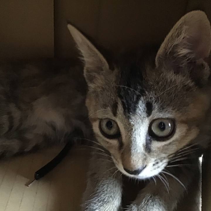 05022927 1d3c 4b8b 877a 120cc9a819ac 1598754267680