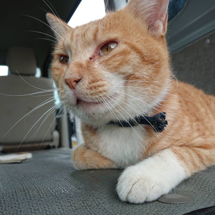 05024685 f922 4136 b6bf 84223fe76f06 1565935253802