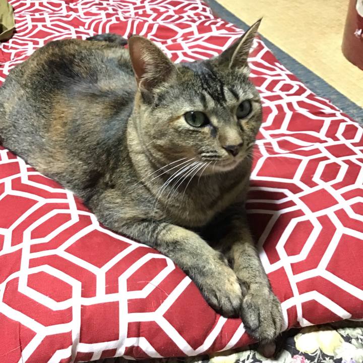 05027d0d 9d32 45f9 99d2 481fcb660dcc 1635324304992