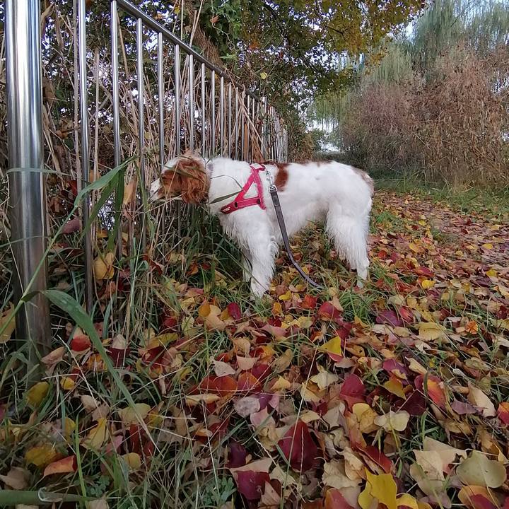 0502a38a 9bcd 4f79 84f8 ed661b088f5d 1574295057133