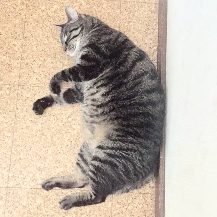 0502b466 98e6 4512 a42d 5d112c966213 1564106565609