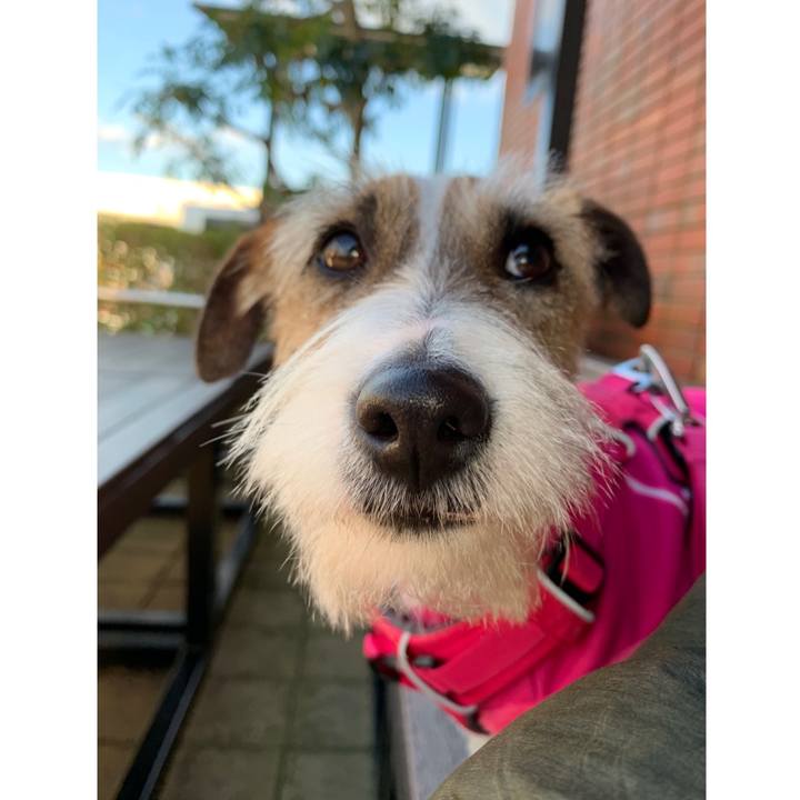 0502b785 f9b8 4c79 bc30 38b0141b4704 1584265480071