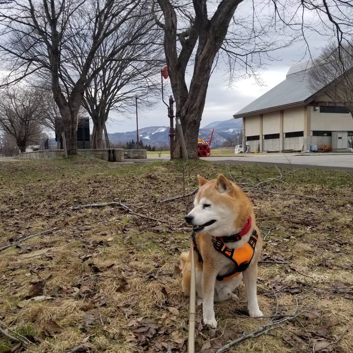 0502d23b d661 4f07 b05b c6fe26b746b9 1712032220031