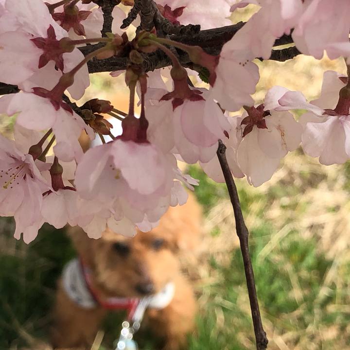 050380dc 9a15 4415 bbff 6ed951c03406 1617153079663