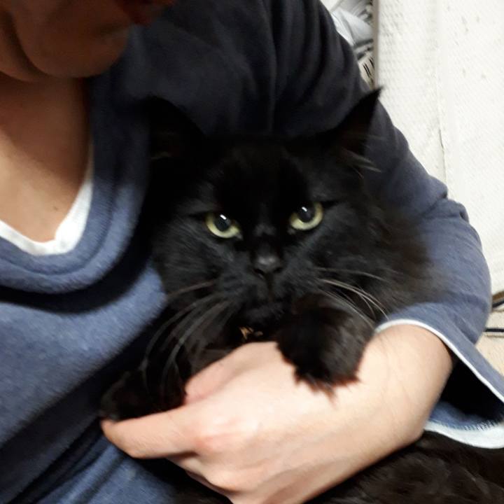 0503bbc5 3c85 4863 a4e6 9525763dac20 1523705198054