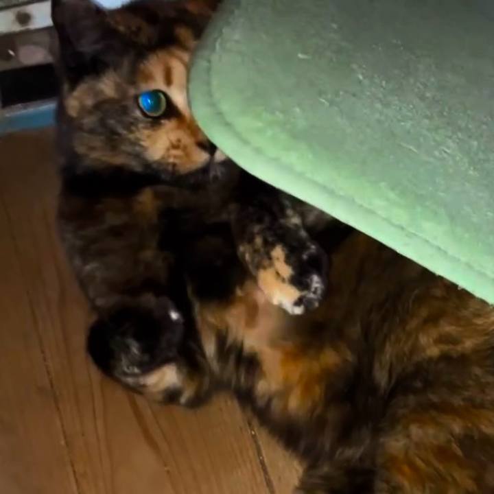 0503d59a 2311 4585 a8a9 7bc107317e84 1741380388045