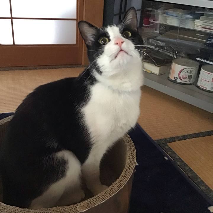 0503f32c 1707 4514 a754 9c9b561c3a93 1713685342923