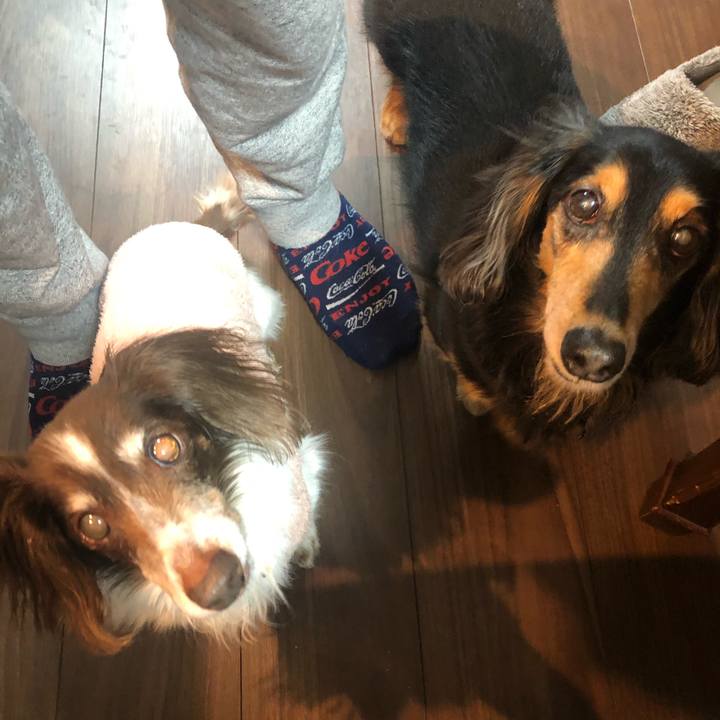 05042ed1 4ffe 4c29 9295 70521ee29988 1612184931123