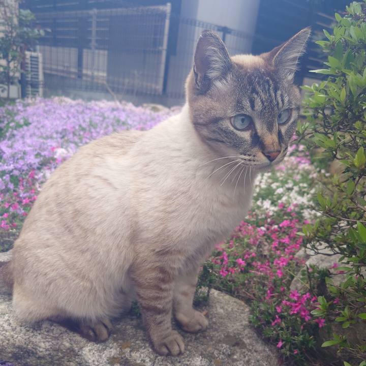 050439ae 0371 440a a4b8 2a9426e98559 1712220902846