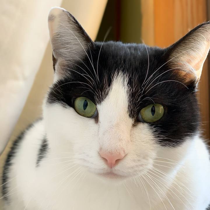 050440ff bf99 49df b918 2909cdb57fe4 1577493691893