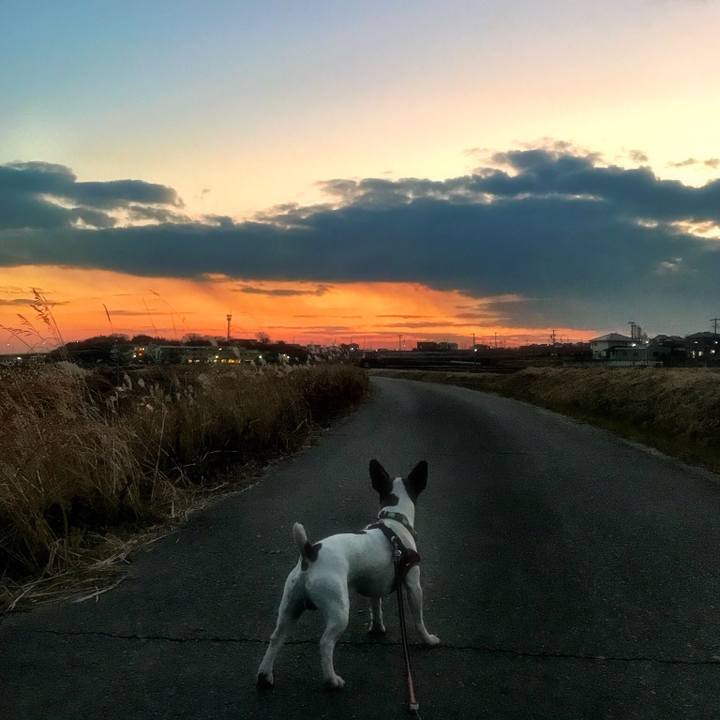 05048459 3f60 48cb 9cce cb97528b672e 1516009847107