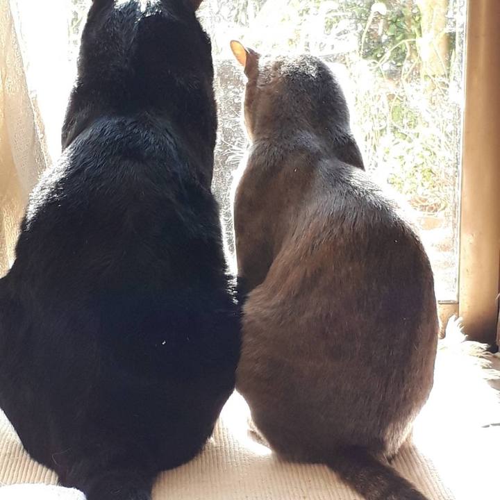 0504981f 51e7 4543 8368 ffe9bb5d857d 1636536589362