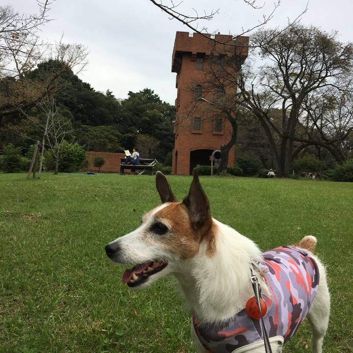 05049e28 fb84 42c7 ada0 84b9105c2d0b 1601849965875