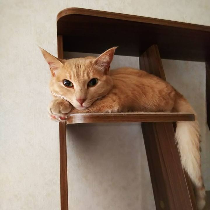 0504aeaf fe78 4b2e a72b 28fc33c1caaf 1661898434441