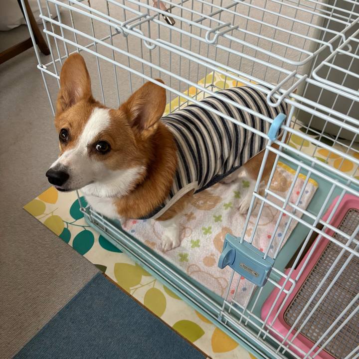 0504b8c8 9ad1 4c43 8c75 93b1f4554f45 1762239264692