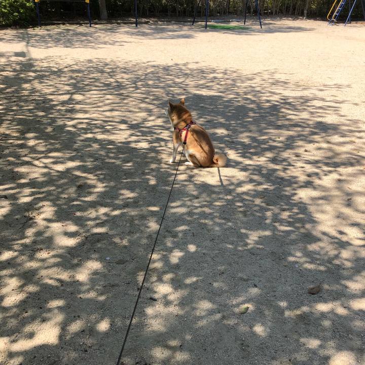 0504c4bf 86aa 433a bf6d abc51bb505c7 1555400282854