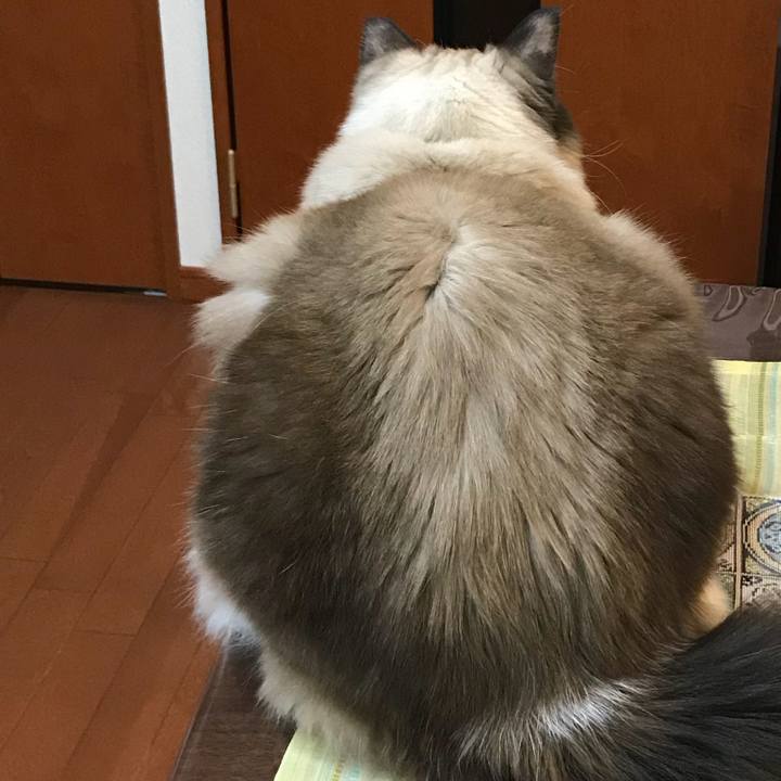 0504d311 192a 4735 a85c 2eec8d6d56ce 1512176832416