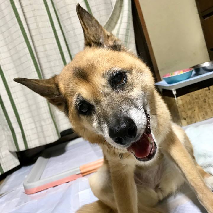 0504da7a f81a 40b7 ab93 8e59a587e9c1 1534678512230