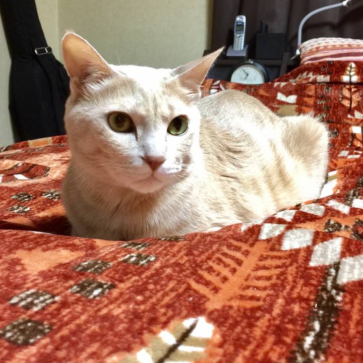 05052abd eac7 4f67 8f35 b56c30ac7329 1514886934768