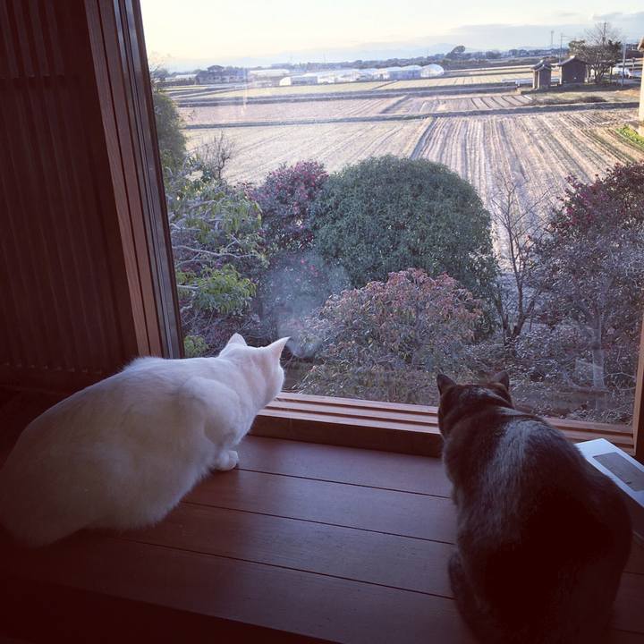 05056251 7f98 41e0 b33f 5bdb540e07b8 1516922800744