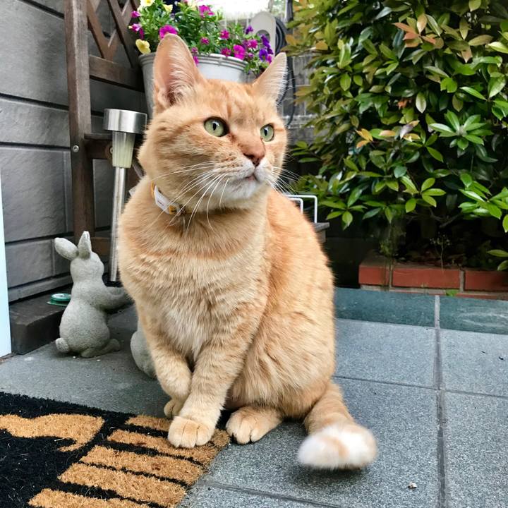 05056b8c 6340 4a78 81d0 b5c2ee628da2 1524822651467