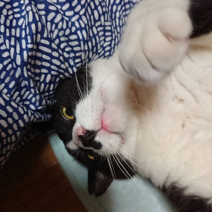 0505a3c6 52b3 4f6c 8474 0f389fc5e218 1592040831436